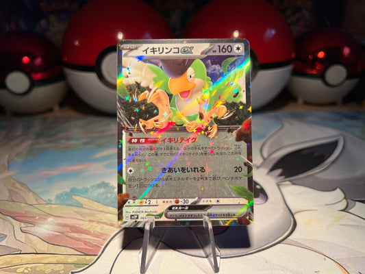 Pokemon Card Squawkabilly EX (Listing #430)